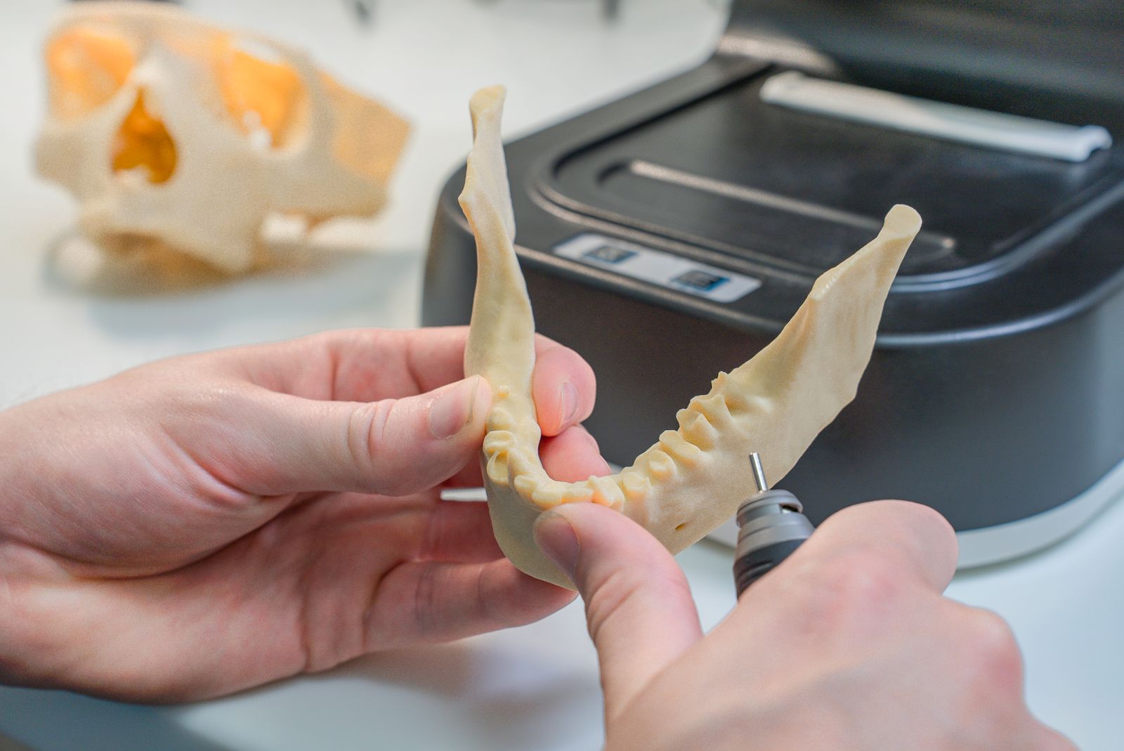 Branchenfoto: Dentallabor
