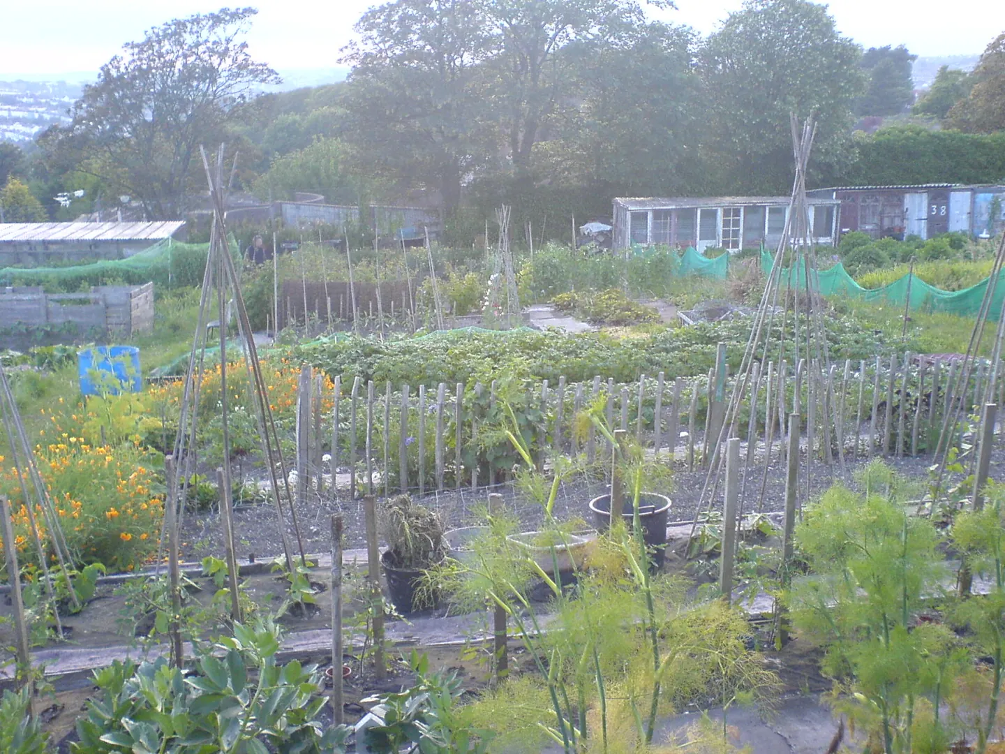 Branchenfoto: Gartenverein