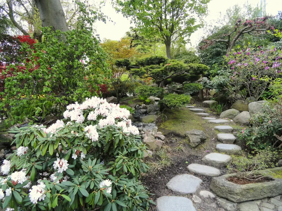 Branchenfoto: Garten- und Landschaftsbau